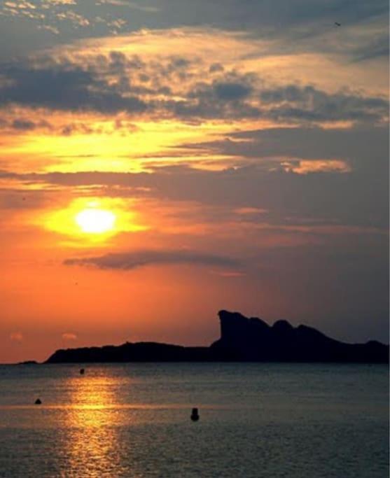 Le Sof Paradis 2 T2 Sur La Des Lecques Saint-Cyr-sur-Mer